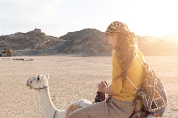Affordable Standard desert safari in Dubai – With Desert and City Escape