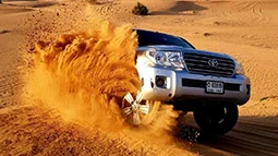 sunset desert safari