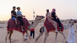 desert safari dubai - Camel Ride