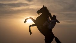 Horse Ride - Platinum Desert Safari in Dubai