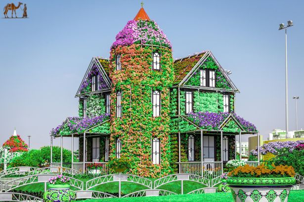 Miracle Garden - Dubai City Tour