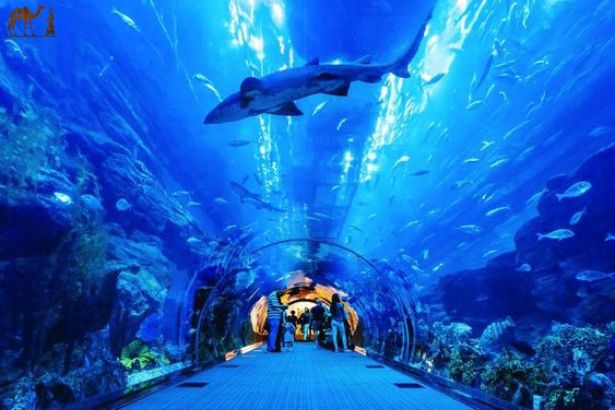National Aquarium Abu Dhabi